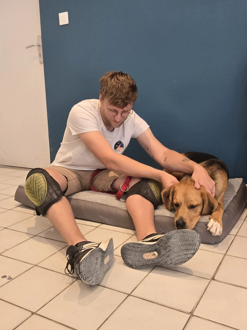 Chien détendu sur le tapis de soin, Jules la main posée sur son dos