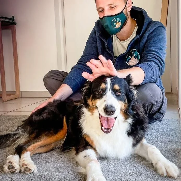 Un chien tricolore détendu, gueule ouverte, pendant que Jules pose la main sur sa tête