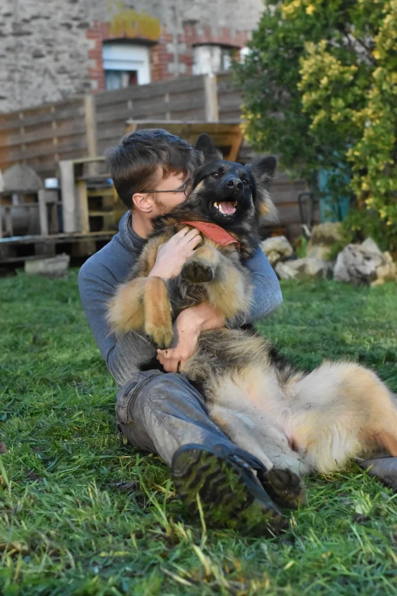 Jules enlace un berger allemand assis contre lui dans l’herbe