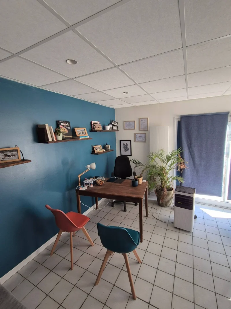 La salle de consultation du cabinet : mur bleu, étagères, bureau, deux chaises et une plante
